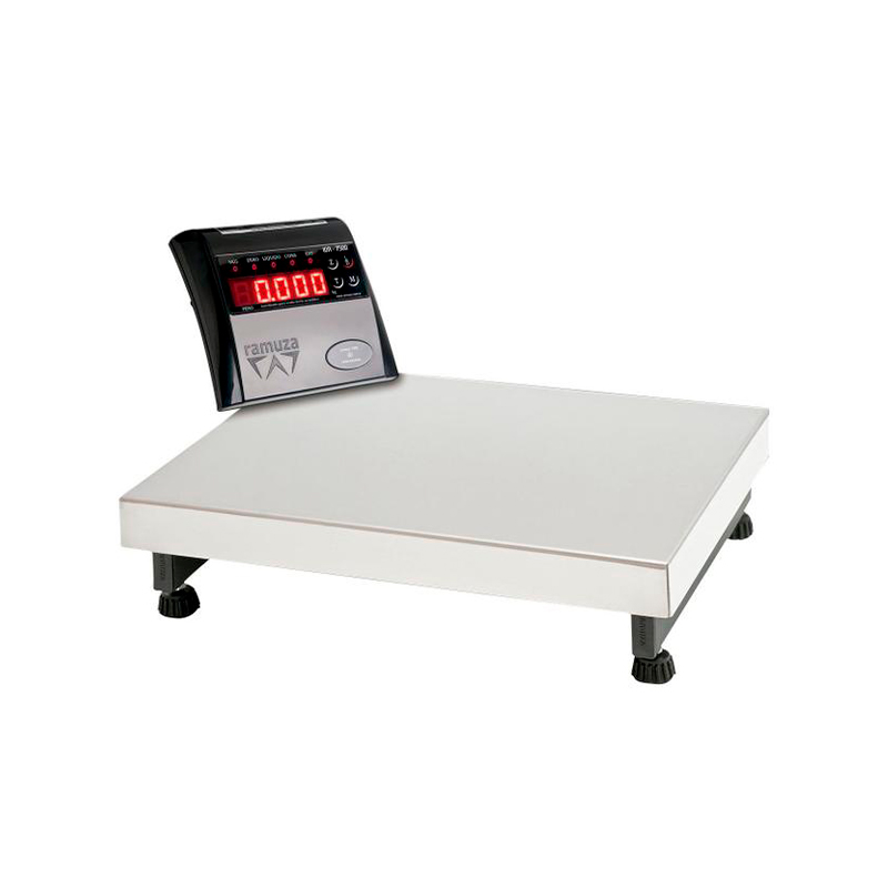 DP 300 - RAMUZA